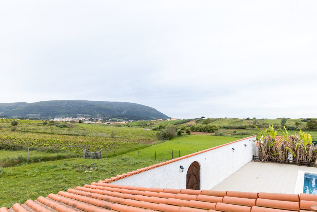 Vista do Montejunto da Quinta do Selão